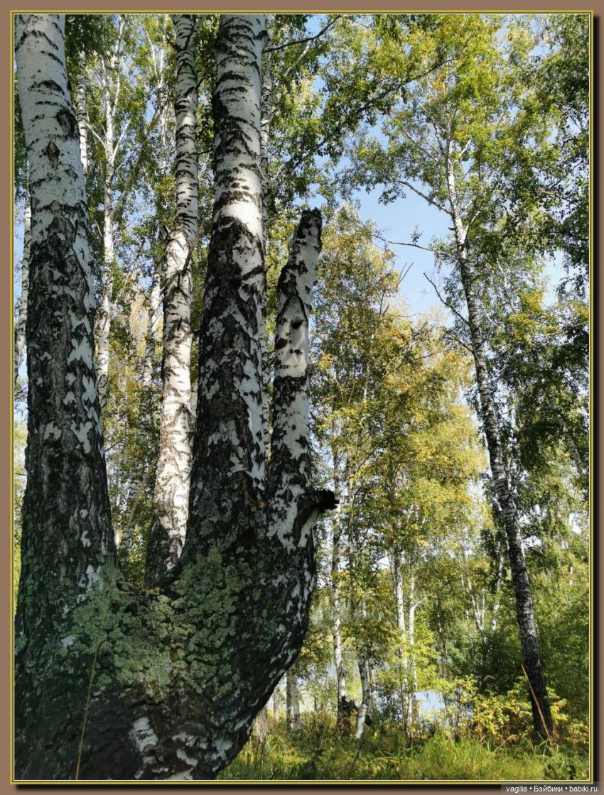 Последний выходной лета — Болталка и разговоры обо всем: жизнь