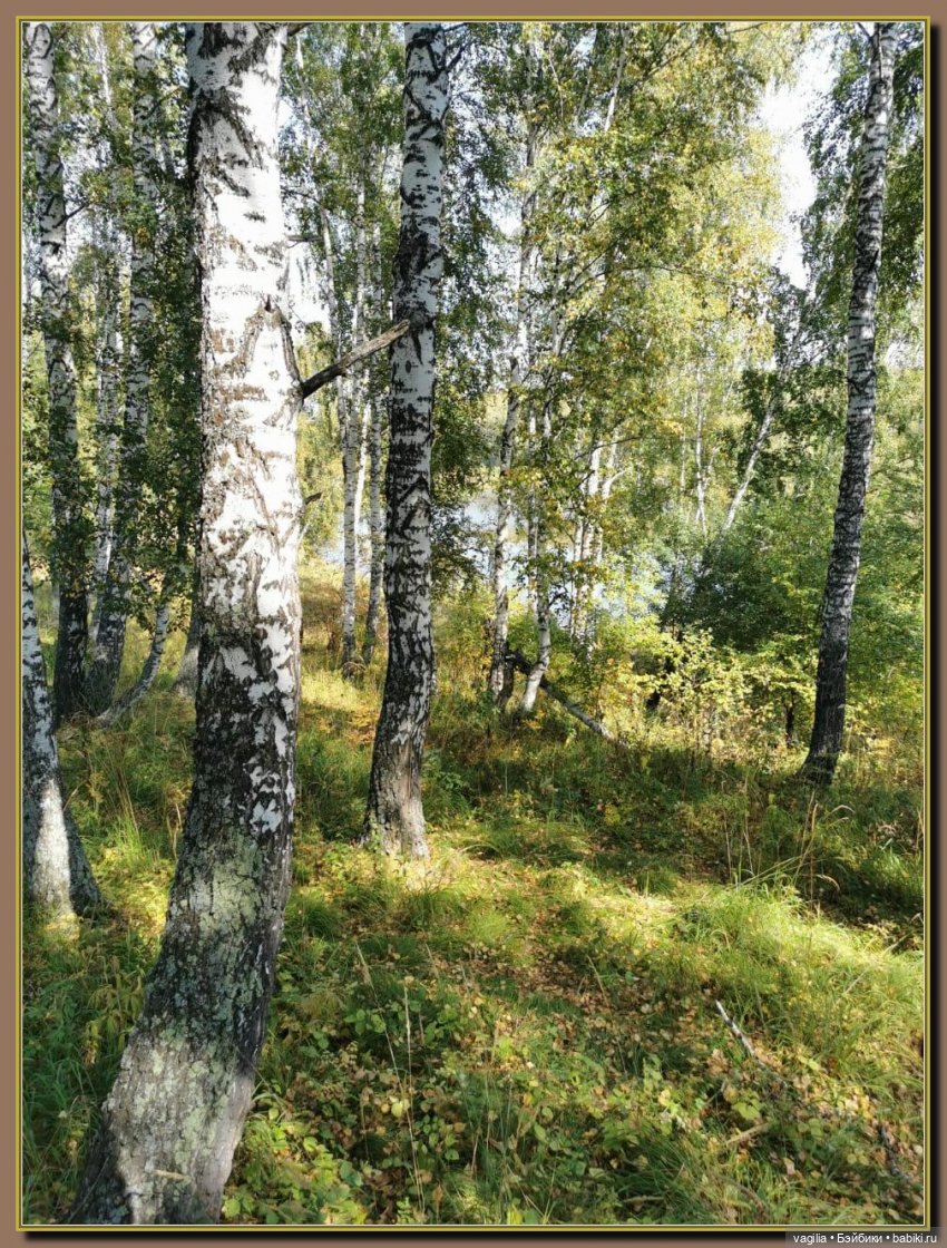 Последний выходной лета — Болталка и разговоры обо всем: жизнь