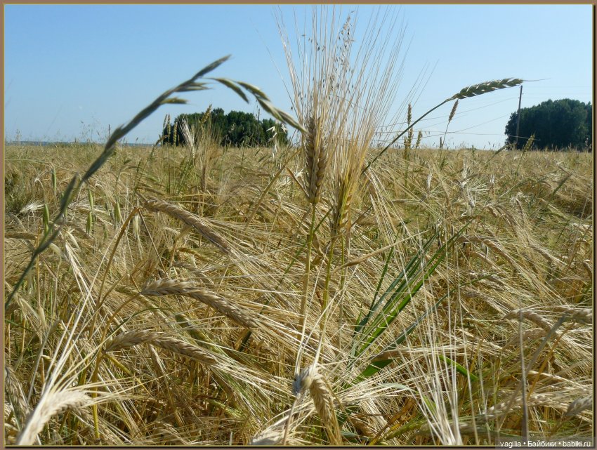 Последний выходной лета — Болталка и разговоры обо всем: жизнь