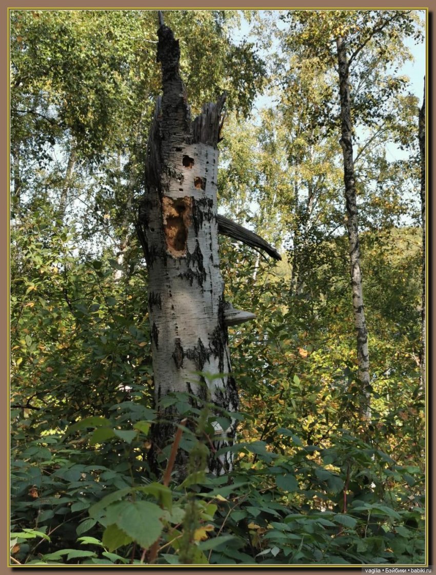 Последний выходной лета — Болталка и разговоры обо всем: жизнь