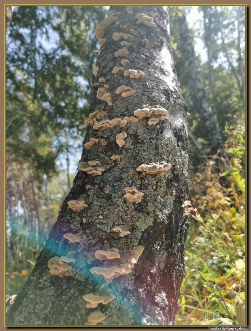 Последний выходной лета — Болталка и разговоры обо всем: жизнь (фото 7)