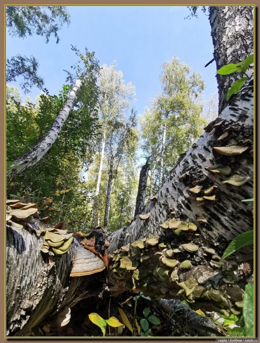Последний выходной лета — Болталка и разговоры обо всем: жизнь