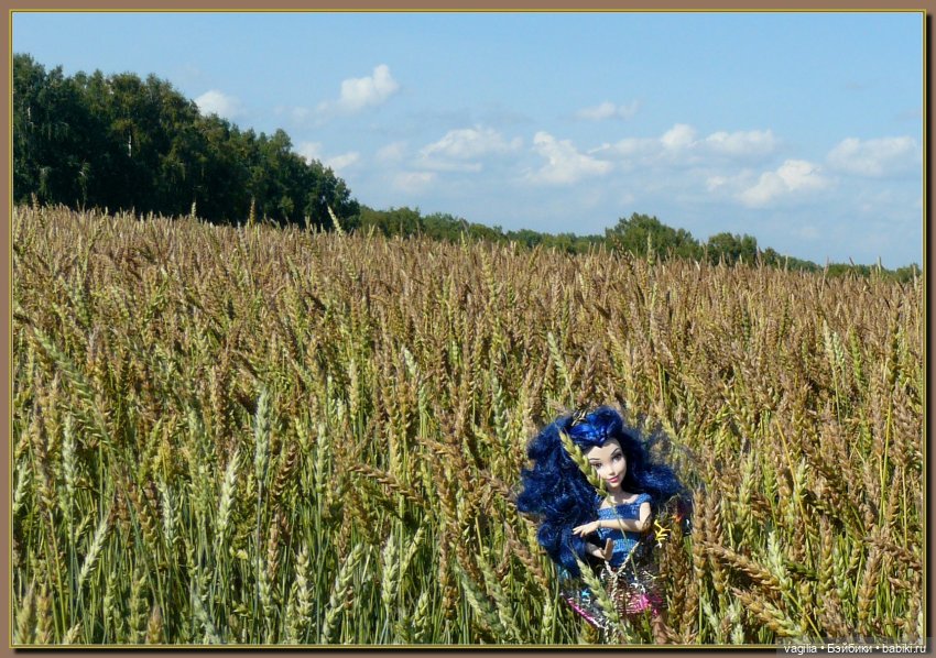 Последний выходной лета — Болталка и разговоры обо всем: жизнь