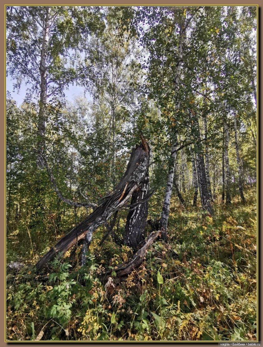 Последний выходной лета — Болталка и разговоры обо всем: жизнь