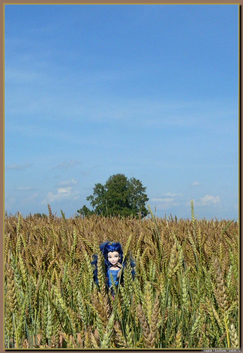 Последний выходной лета — Болталка и разговоры обо всем: жизнь