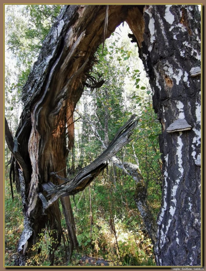 Последний выходной лета — Болталка и разговоры обо всем: жизнь