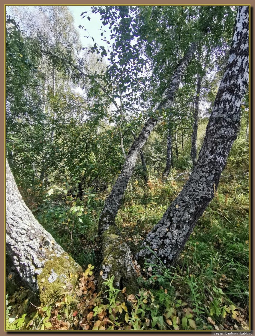 Последний выходной лета — Болталка и разговоры обо всем: жизнь (фото 10)