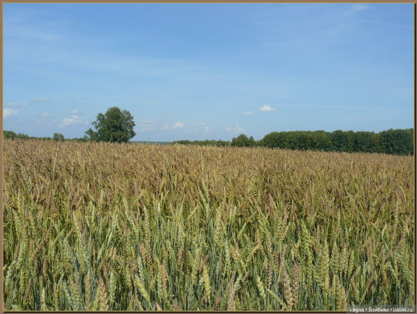 Последний выходной лета — Болталка и разговоры обо всем: жизнь