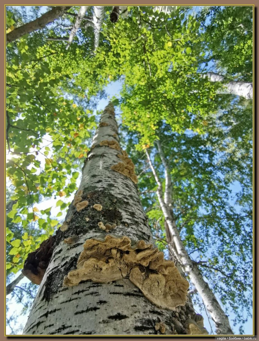 Последний выходной лета — Болталка и разговоры обо всем: жизнь