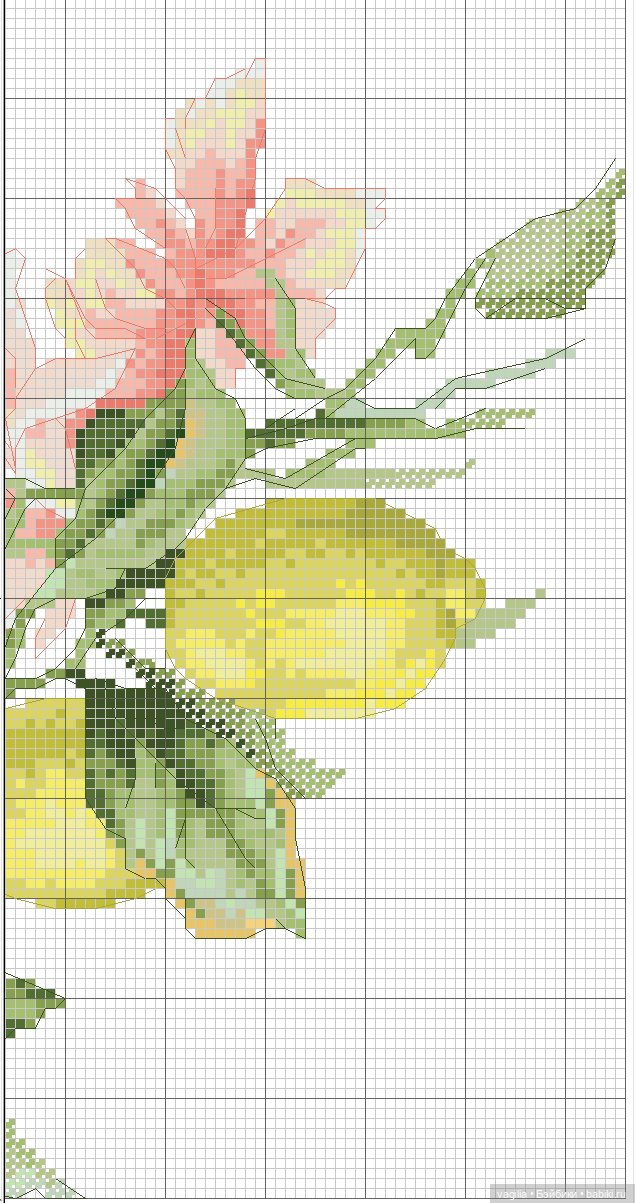 Садово огородные схемки 2