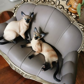 Сиамские кошки для Барби.