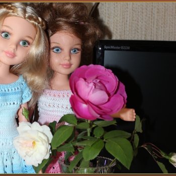 Челлендж 12 фото