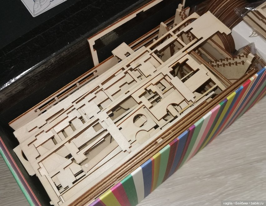 Хомячьи привычки развивают фантазию