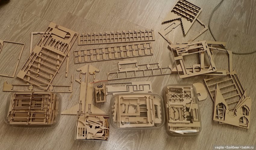 Хомячьи привычки развивают фантазию (фото 2)