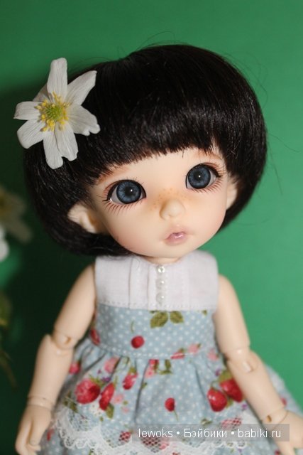 пукифи анте