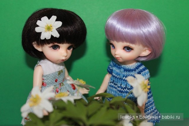 Маленькое чудо - Пукифи Анте от Фериленда (фото 3)