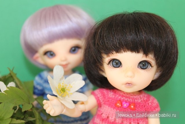 Маленькое чудо - Пукифи Анте от Фериленда (фото 8)