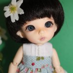 Маленькое чудо - Пукифи Анте от Фериленда.