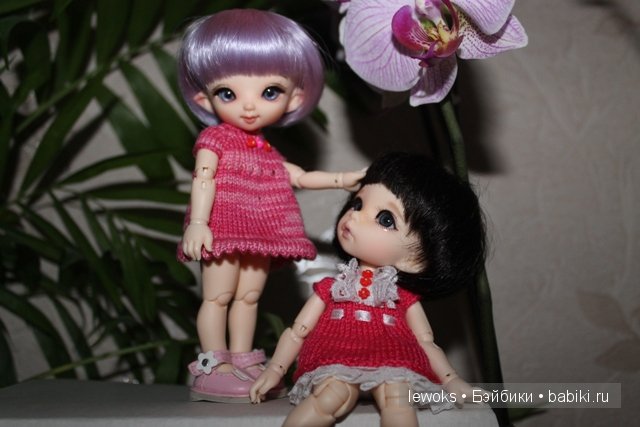 Пукифи Анте и пукифи Купид от Фериленда (фото 2)