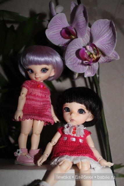 Пукифи Анте и пукифи Купид от Фериленда