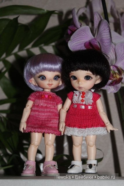 Пукифи Анте и пукифи Купид от Фериленда (фото 7)