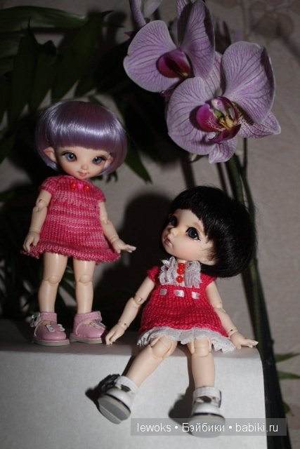 Пукифи Анте и пукифи Купид от Фериленда (фото 3)