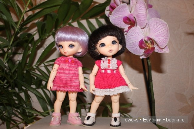 Пукифи Анте и пукифи Купид от Фериленда (фото 9)