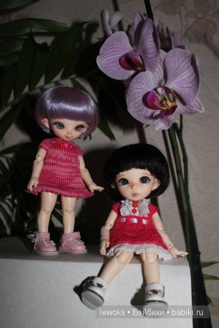 Пукифи Анте и пукифи Купид от Фериленда (фото 4)