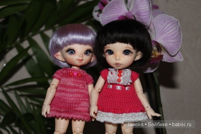 Пукифи Анте и пукифи Купид от Фериленда (фото 8)