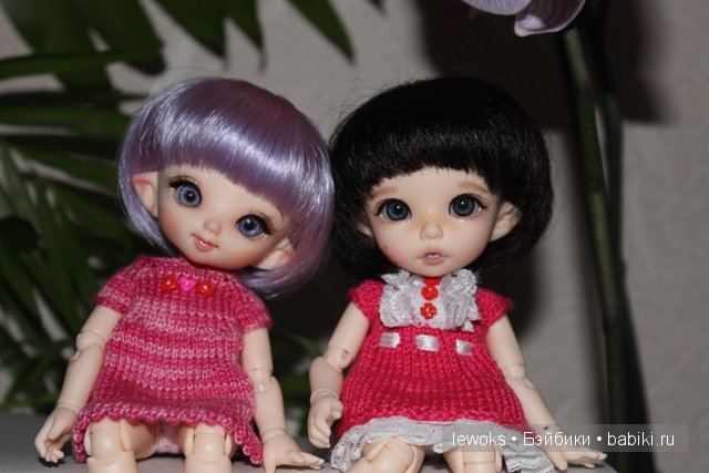 Пукифи Анте и пукифи Купид от Фериленда (фото 5)