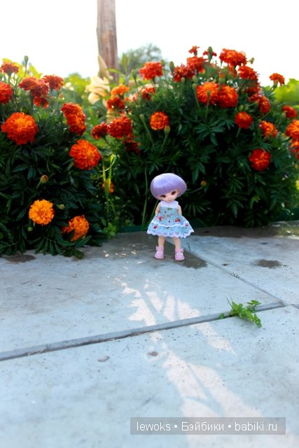 Поездка на дачу. Куклы БЖД. Пич от Иплхаус, Пукифи Купид