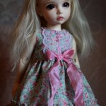 Мои работы для кукол БЖД.