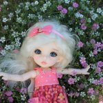 Пукифи Анте. Фейриленд.