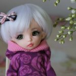 Моя обновленная пукифи Анте.