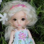 Пукифи Ваниль.