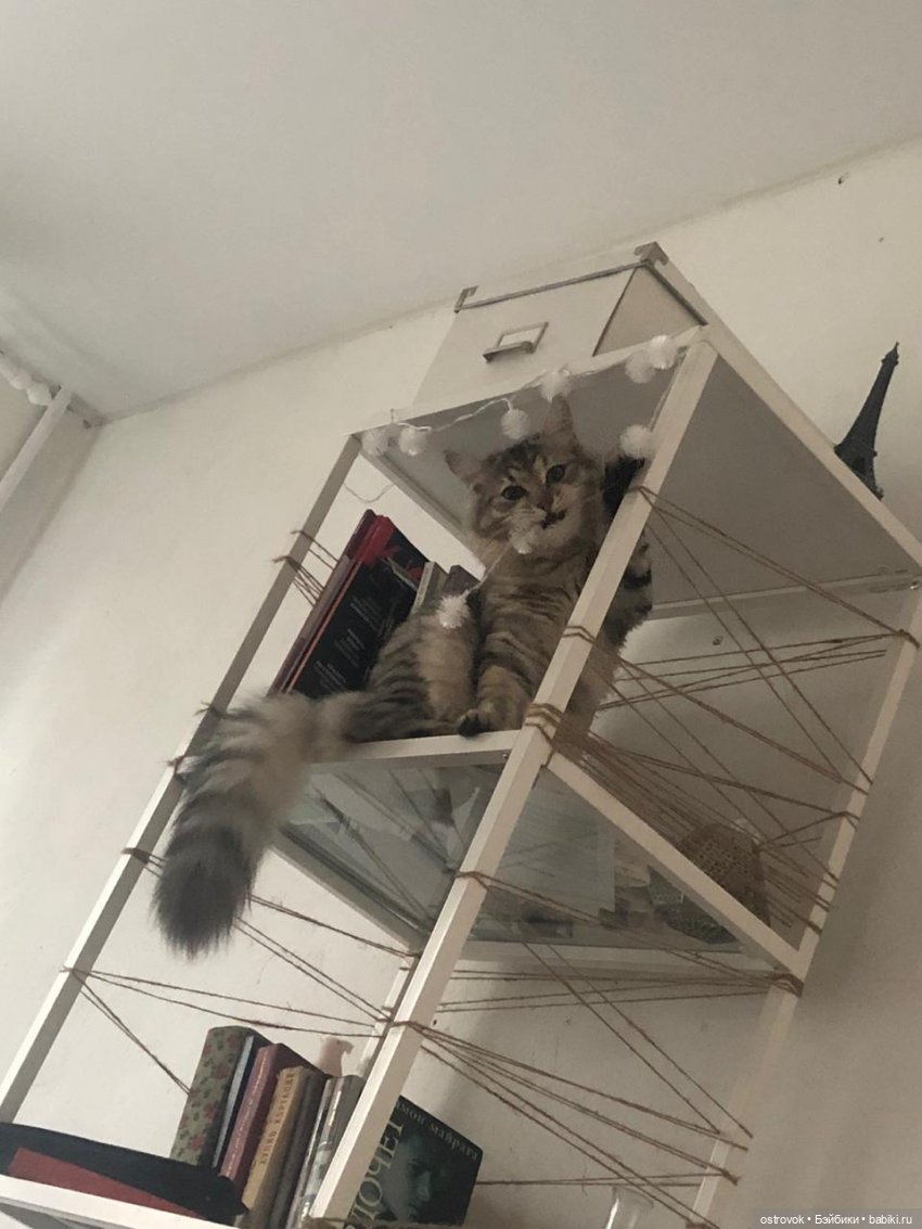 Помогает снимать гирлянды после Нового года)