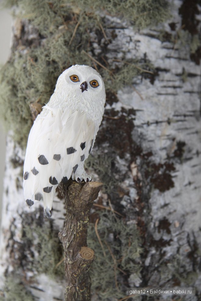 Волшебные атрибуты и животные из Гарри Поттера (Тоннер)