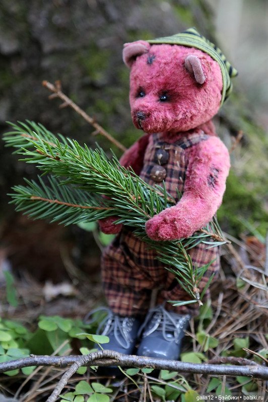 Мишка Амадей. Еще немного увлекательной истории (фото 6)