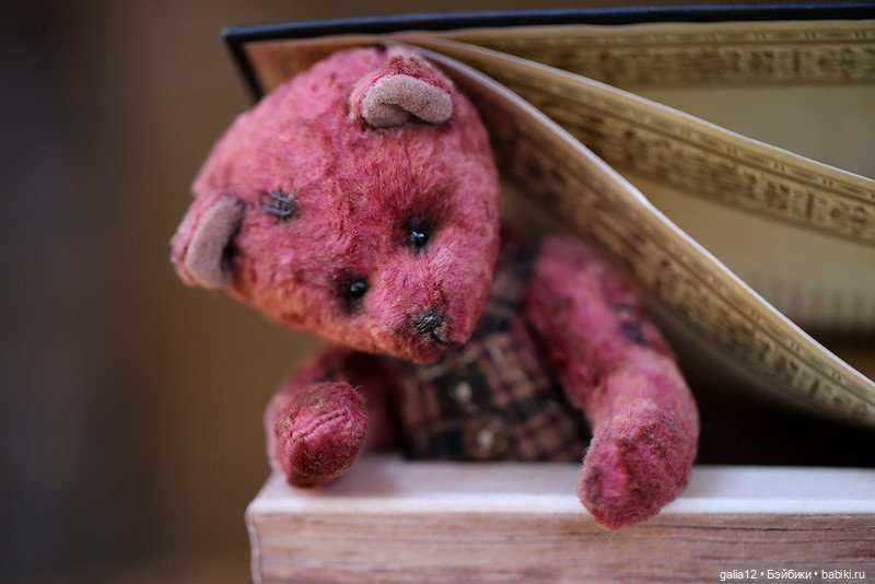 Мишка Амадей. Еще немного увлекательной истории (фото 5)