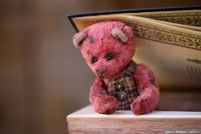 Мишка Амадей. Еще немного увлекательной истории (фото 4)