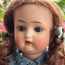 Прелестная антикварочка Роза в розовом саду.