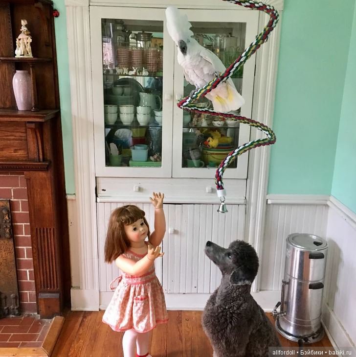 Наша большая "пластиковая" семья