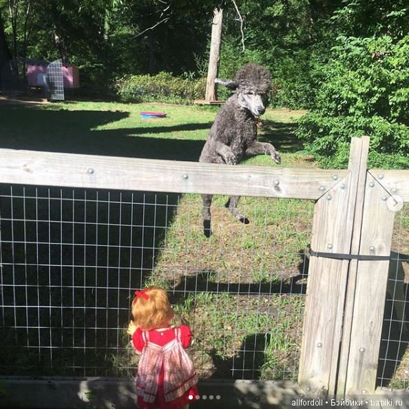 Наша большая "пластиковая" семья