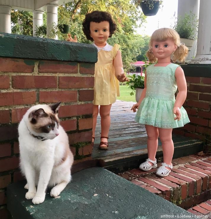 Наша большая "пластиковая" семья