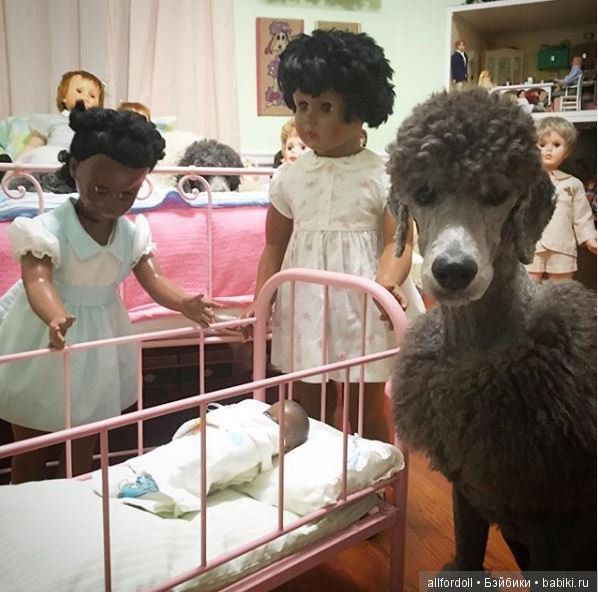 Наша большая "пластиковая" семья