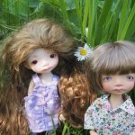 Дачные фотозарисовки.