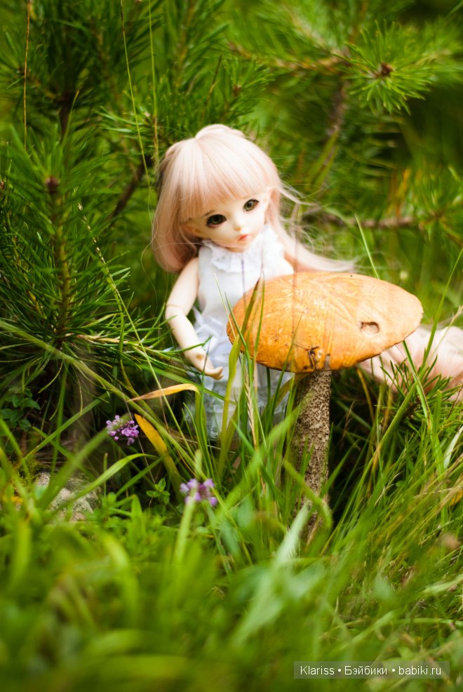 Поездка в горы. LittelFee Ante Elf