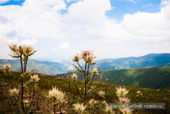 Поездка в горы. LittelFee Ante Elf