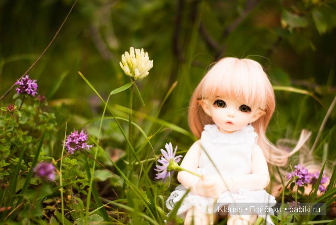 Поездка в горы. LittelFee Ante Elf