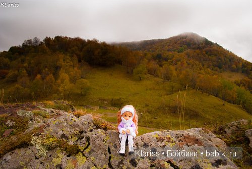 Реми. LittelFee Ante Elf